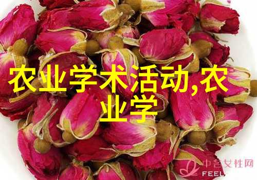 属相之恋揭秘幸运花的秘密