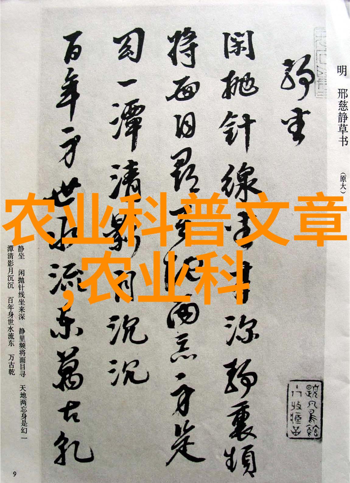 芝麻辣西葫芦冬季育苗秘诀大揭秘