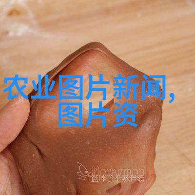 叶语悠扬探秘茶香的古典之谜