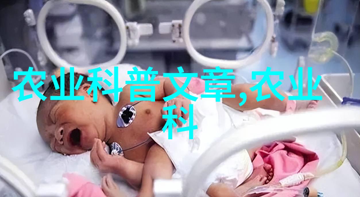 农机作业全解析耕种收获的高效助手