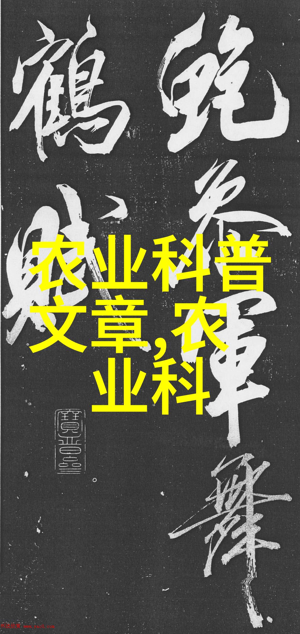云南十大花卉基地春天的生机画卷