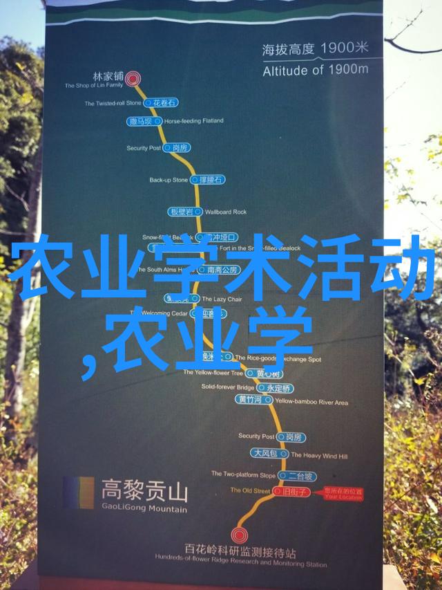 十年枫树一棵之价经济价值与生态效益的探究