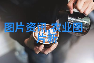 冬马铃薯中后期管理技术措施种蔬菜大棚找销路的智慧之轮