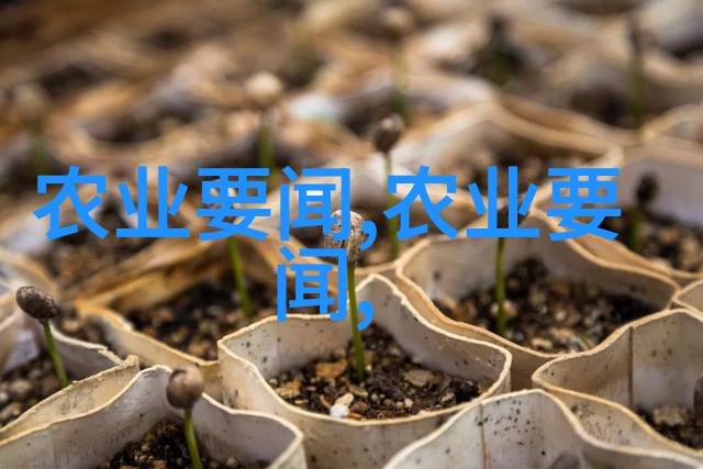 花木场的秘密花园种植基地的奇迹之旅