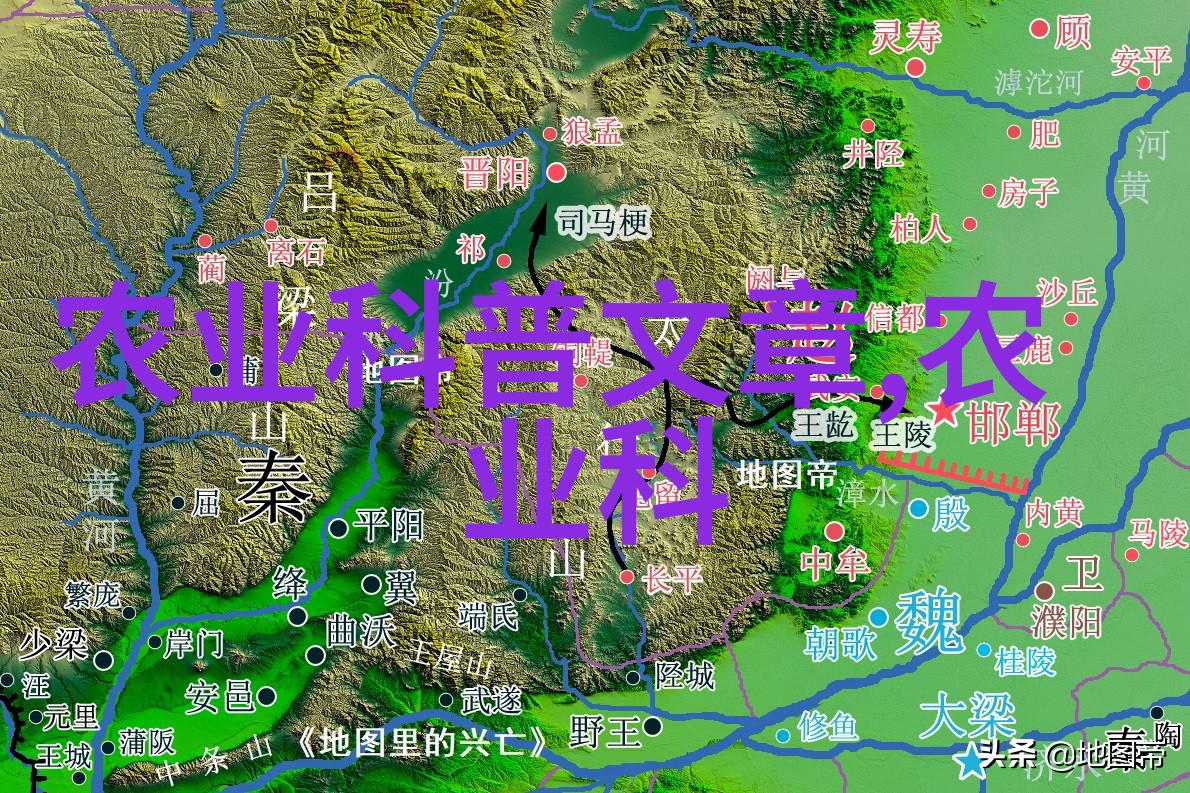 茶的妙用探究各种茶类带来的益处