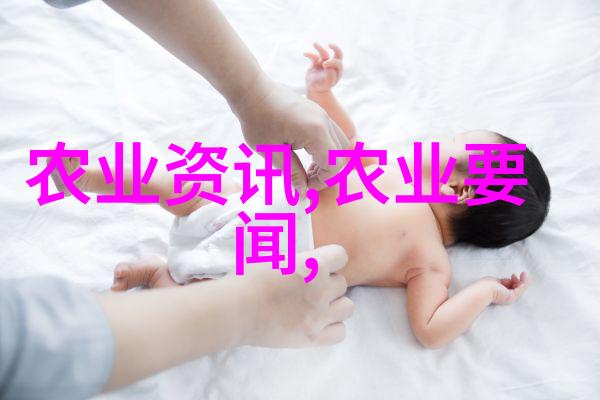 水稻种植技术我来教你如何把水稻做得金黄亮泽