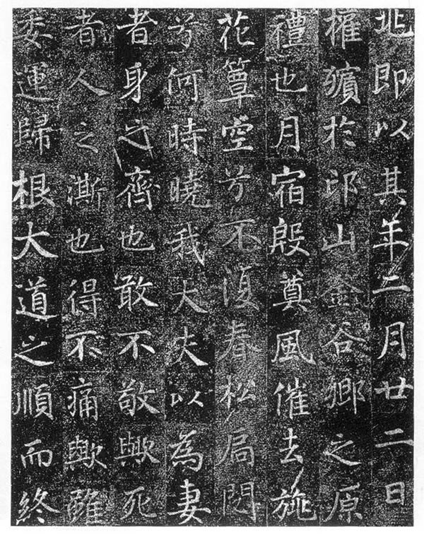 种子中的世界这些图片背后的神秘名字能解开什么秘密