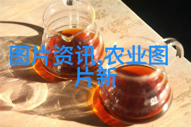 一两等于多少克 - 量体裁剪揭秘传统度量衡与现代计量的差异