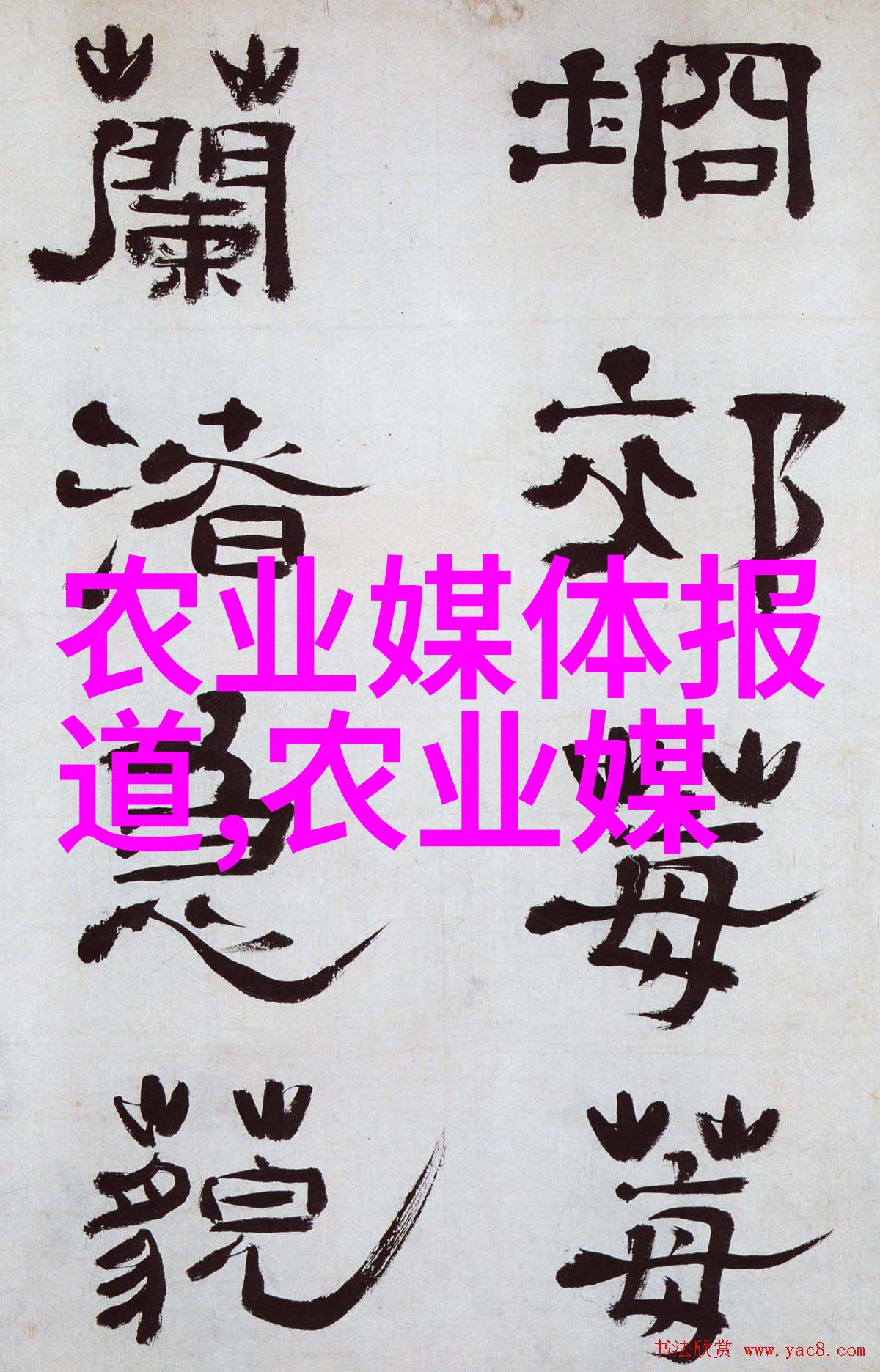 中科灵芝等中药现代化产品在2020年国际健康产品博览会上闪耀光芒就如同民法典正式全文的2022电子版