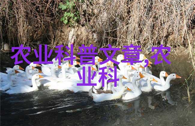 中草药的种植前景与分析-深度探究中国传统医药产业的发展趋势