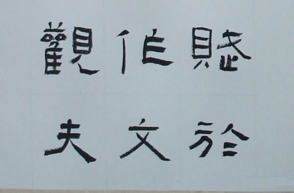 蔬菜种植技术全书从基石到精华