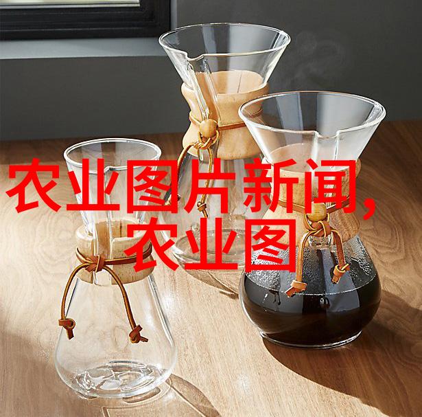 在设计和管理上鄢陵和其他类似项目有什么不同之处