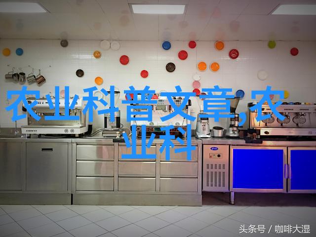 家庭客厅养什么花好家居装饰的绿色美学