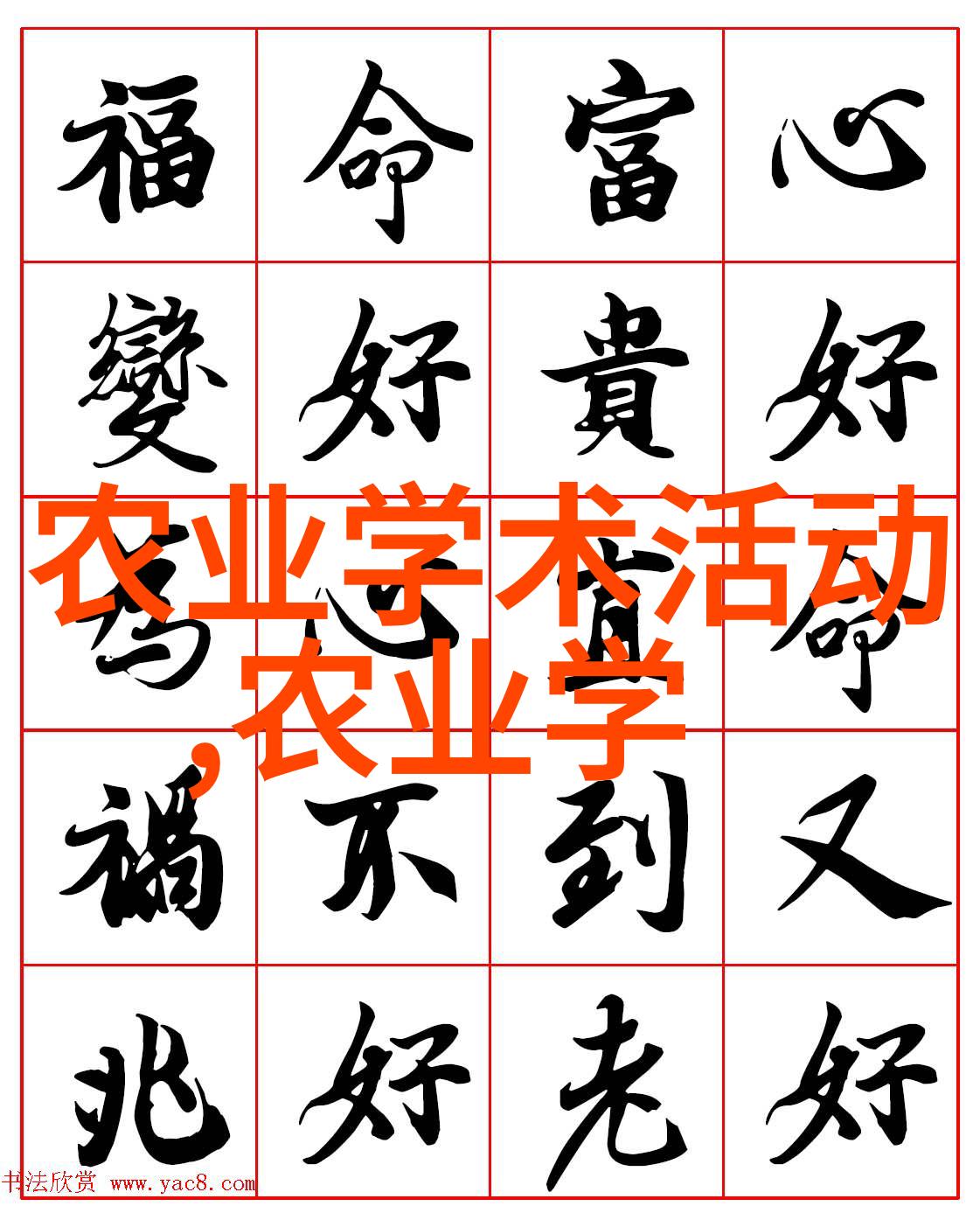 茶树的秘密花开探索茶叶之源的奇妙世界