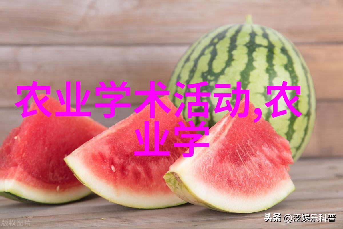 直径60公分的广玉兰买这朵花你会不会后悔