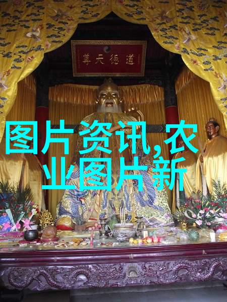 湖羊养殖技术视频高效管理与健康照料技巧