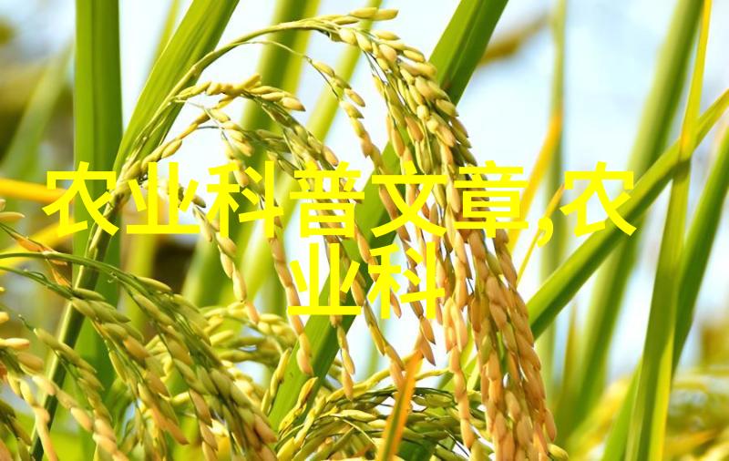 日本青春故事十七岁的梦想与自由