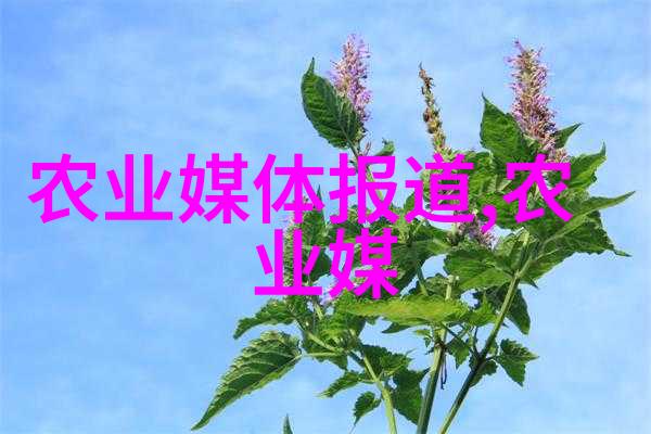 春播花香详解各种花卉种子播种方法