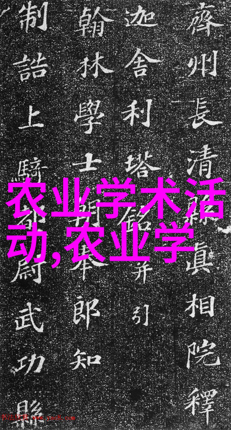 花影绘韵好看好养的盆栽诗篇