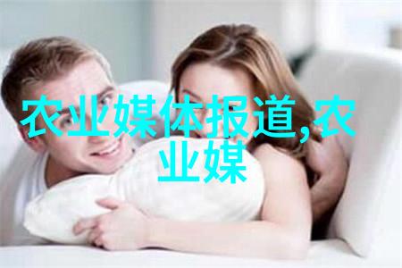 农机-从耕种到收获揭秘现代农业的各种农机器