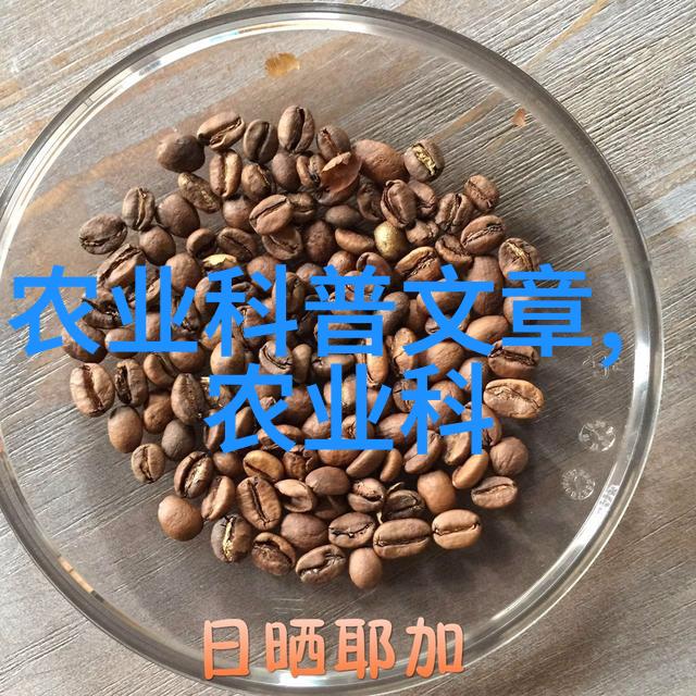 活塞的旋转机器的心脏与动力之源