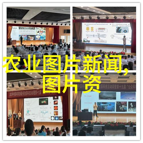 大豆之谜黑暗中的种子