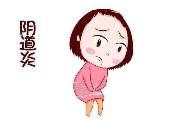 无土大棚蔬菜种植全程解析