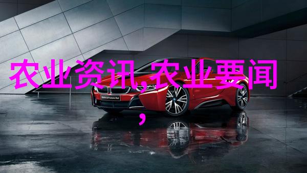 金线莲的传奇价格-20000一斤金线莲物是人非价高难寻