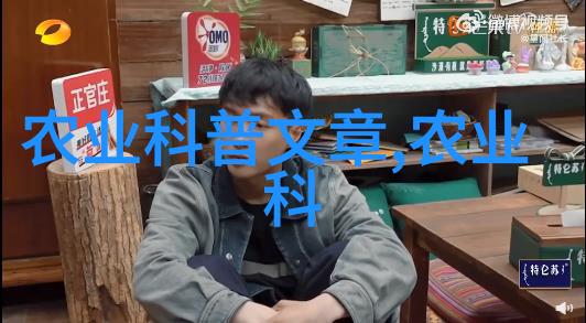 穿越之寡妇难为时空的孤影与重生