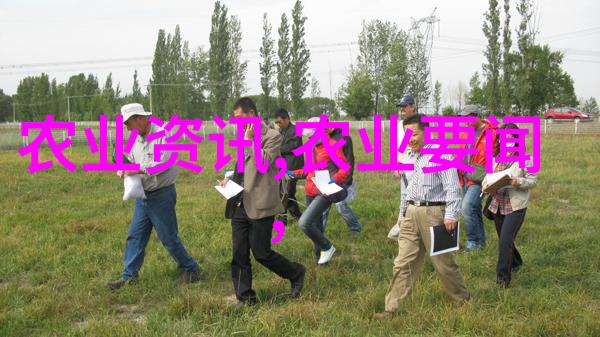 养肉鸡好还是养蛋鸡好