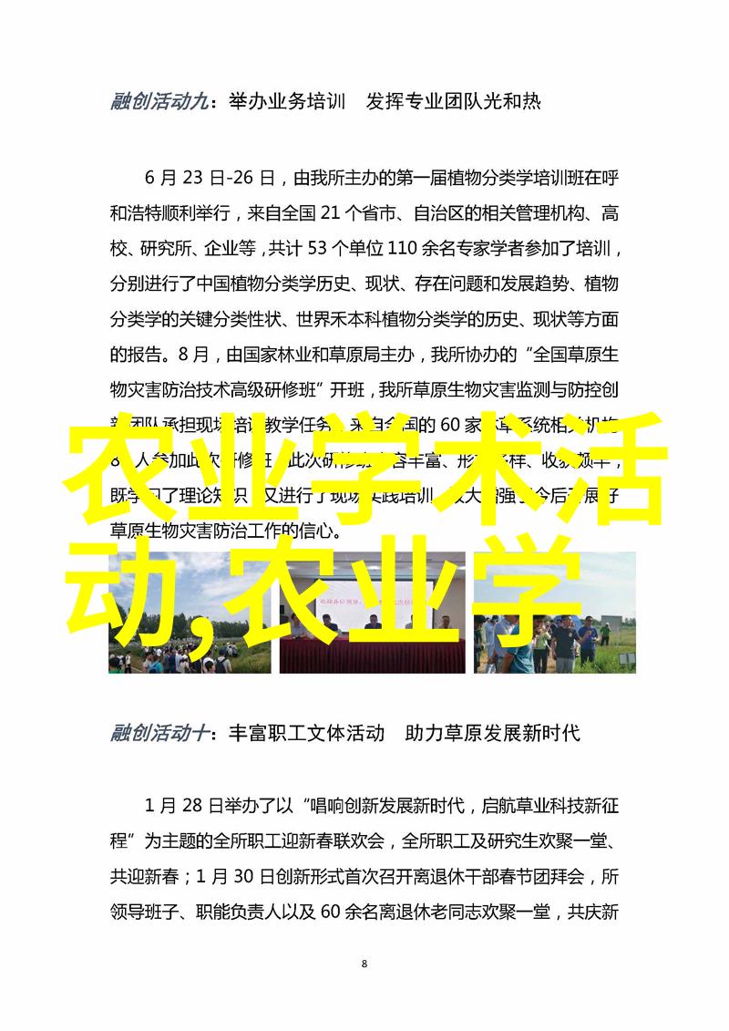 选择哪个代办机构更适合我的需求和预算
