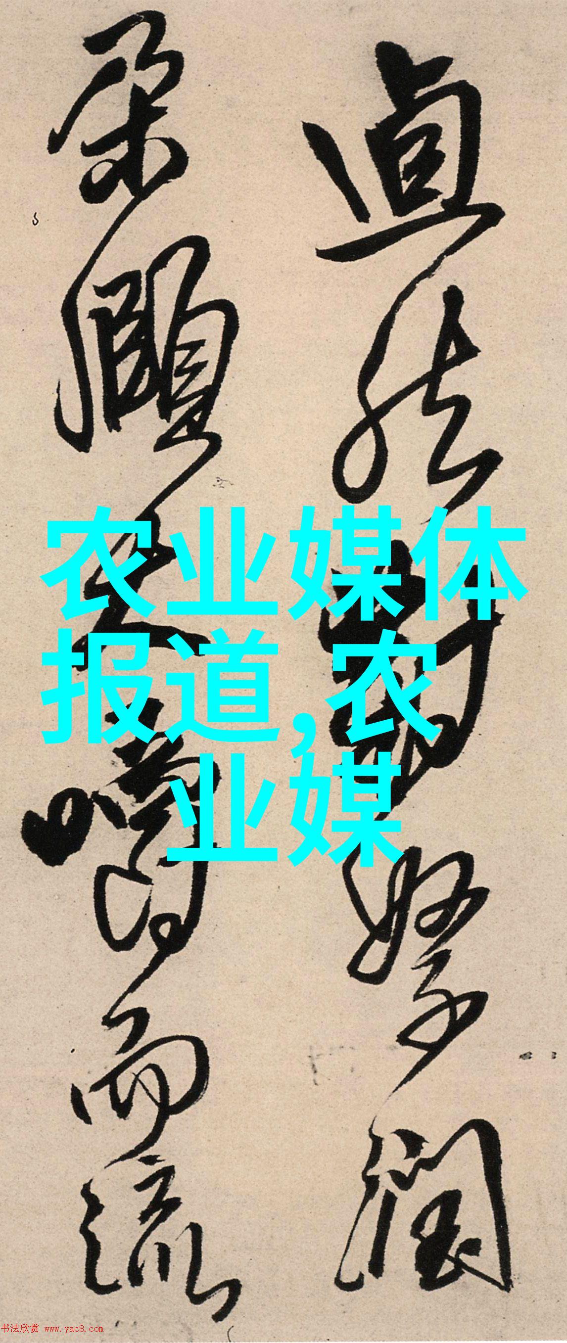 2021缅甸战乱最新消息-燃烧的边境揭秘2021年缅甸冲突的真相与后果