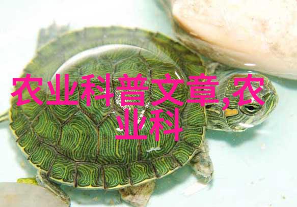猪场到餐桌明日每个环节都在等待答案