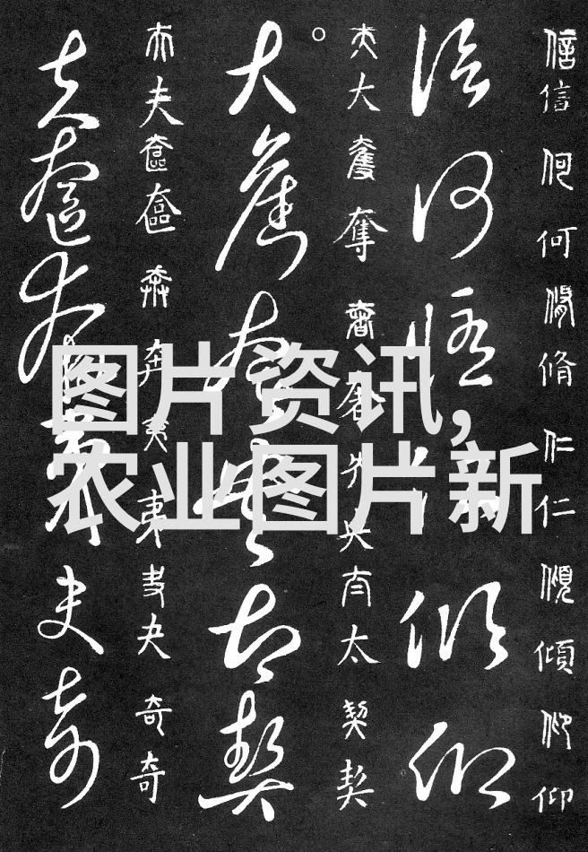 江西贵药百合的香甜与价值