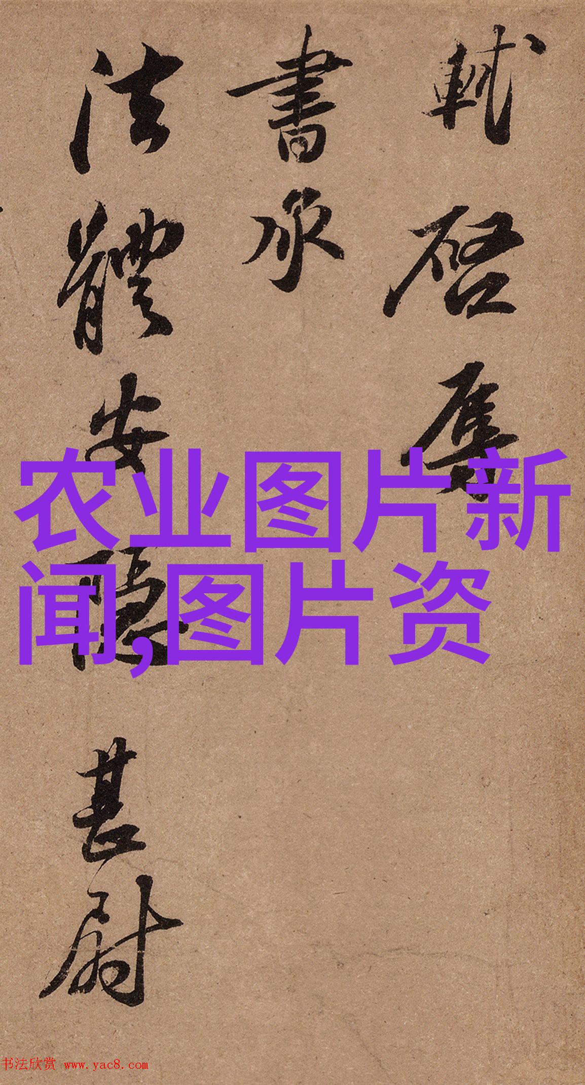 如何正确泡制各种中国特色茶类以发挥其最佳风味和营养价值