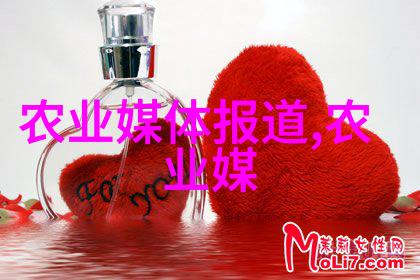 春风拂过夏日果实累累秋月下收获丰硕冬雪里寻找温暖果香的懒人果树一年四季结果
