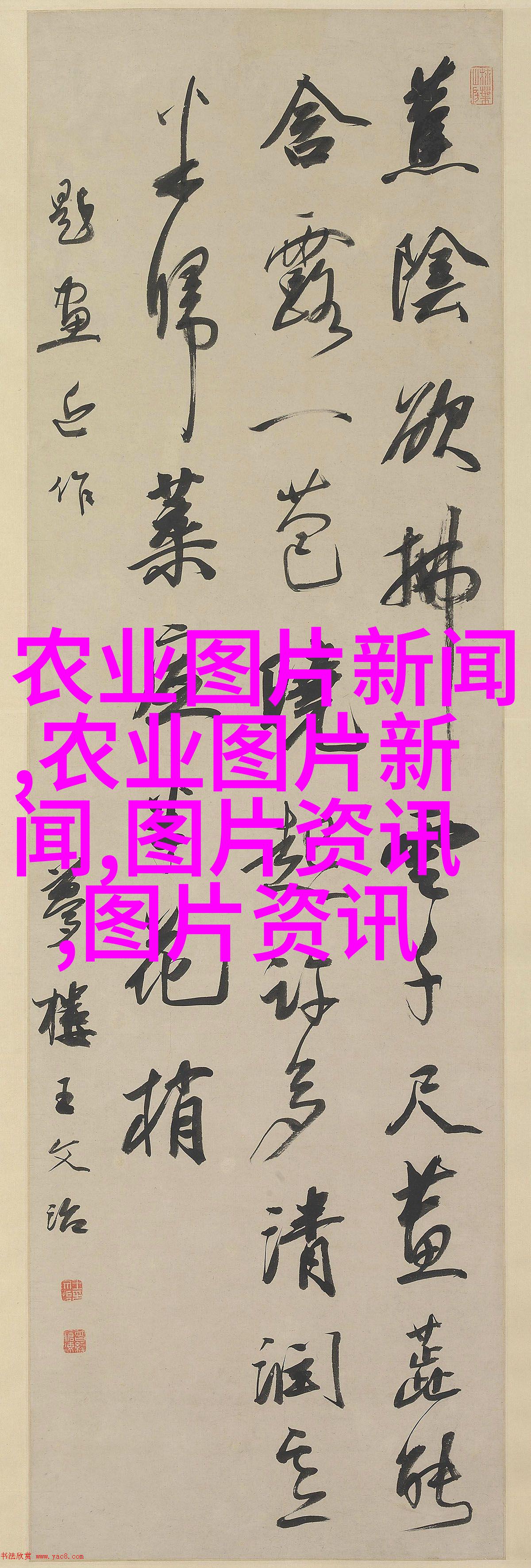 西湖长jing