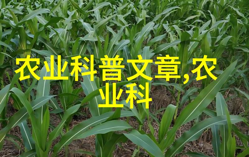 谁应该远离蜂蜜揭秘健康风险与预防措施