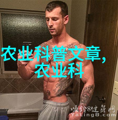 挖树机在城市绿化中的应用前景有多广泛