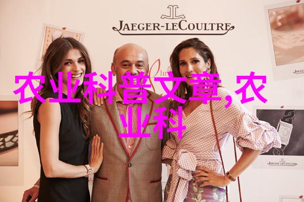 促进光合作用的科学方法为黄花增添色彩和香气