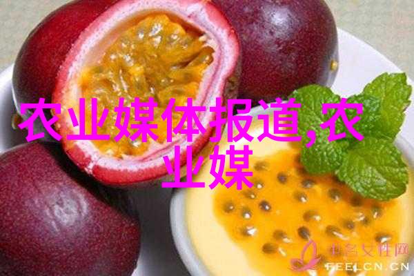 高效盈利的种植选择揭秘最赚钱的农作物