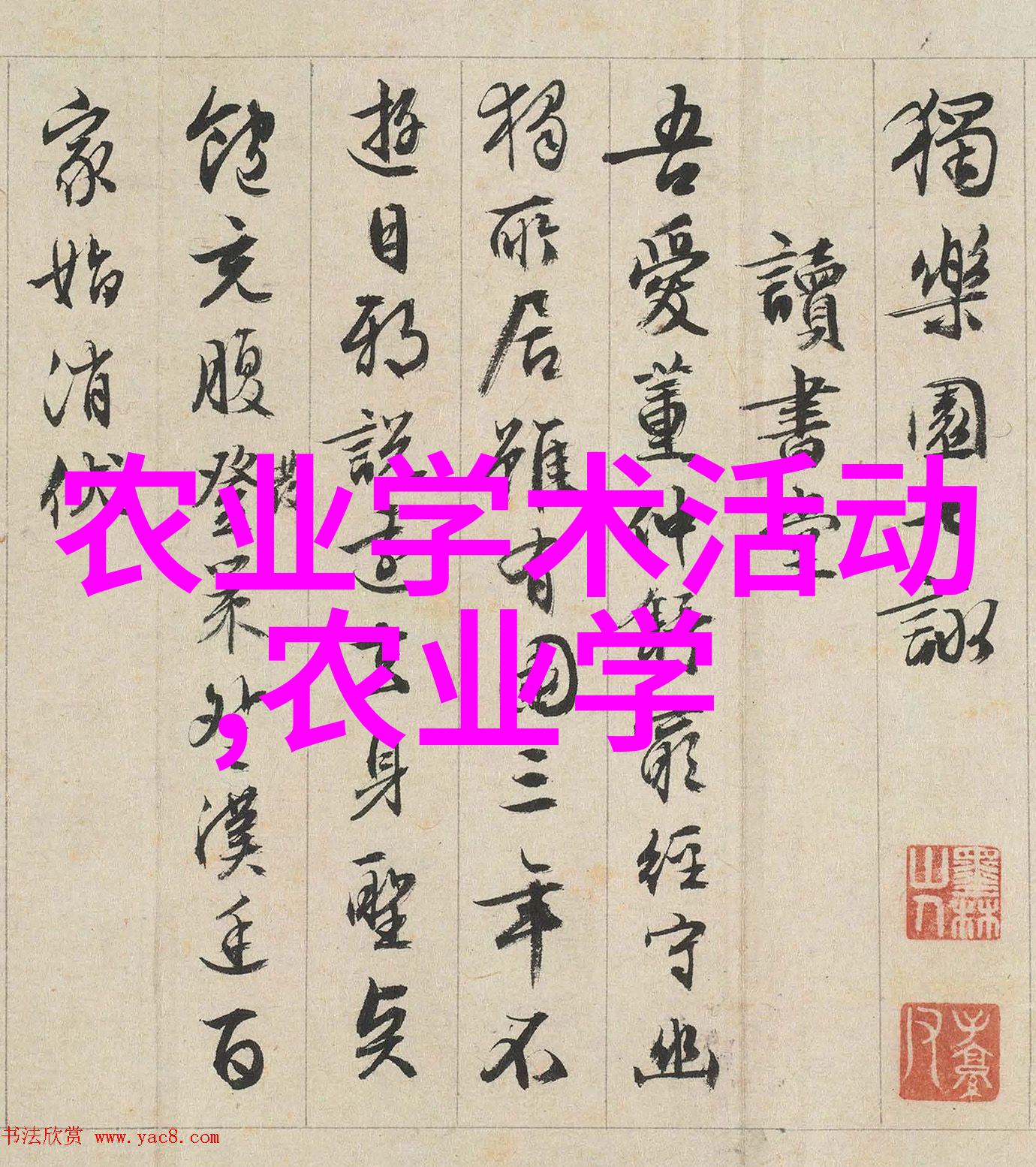 十大镇宅辟邪的树木守护家庭福祉的自然力量
