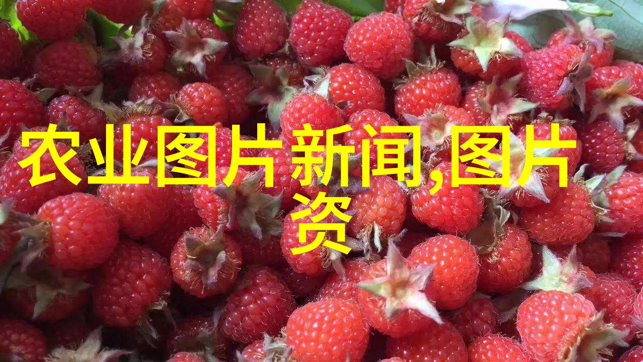 山东省潍坊市15家农民合作社成全国示范