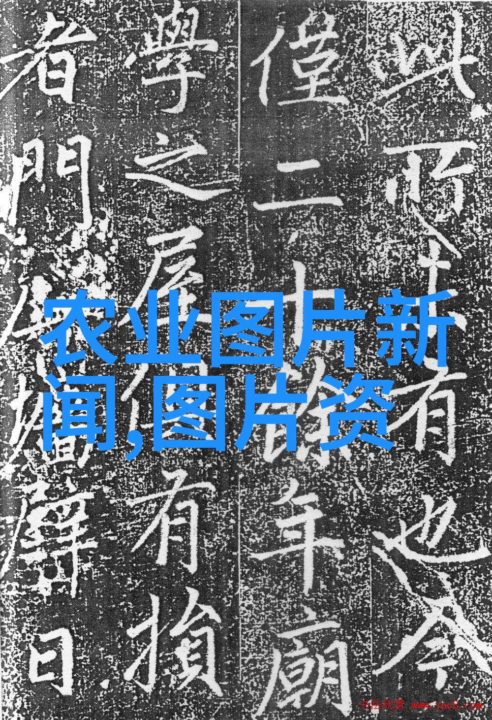 金耳的八大养生功效与作用