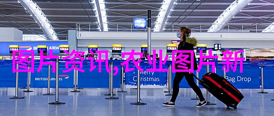 白玉蜗牛解读其在古代文明中的象征意义与生态学价值研究