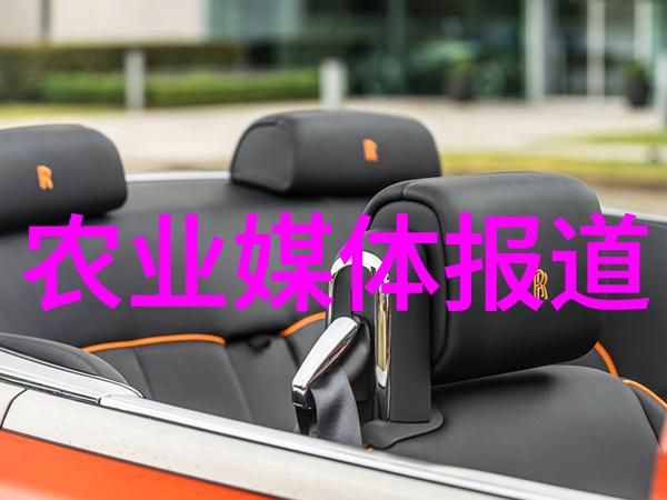 羊毛之下的贫困一段艰辛的养殖记
