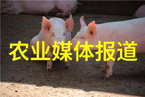 李林教授探索基于生物大数据的玉米重要农艺性