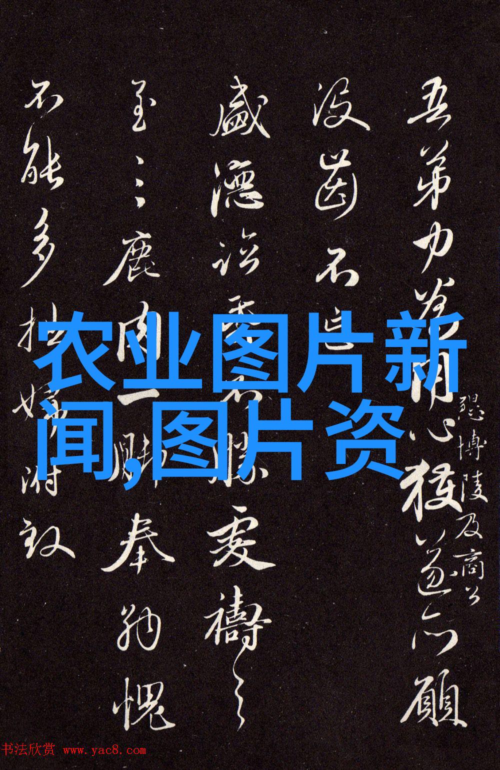 镜中简夏冷廷的视频录制秘密