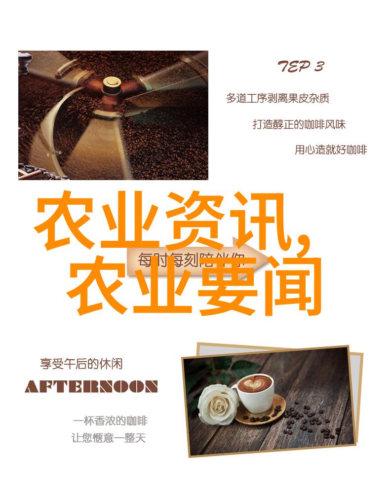 探索茶文化的精髓深度解读传统与现代茶艺融合