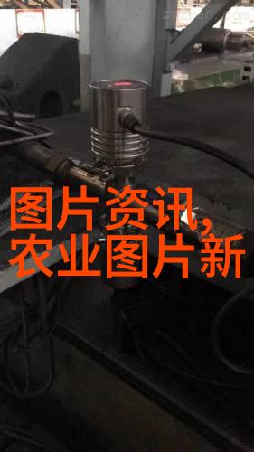 土壤之歌播种梦想的市场篇章